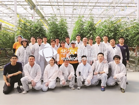2019“现代温室番茄栽培管理与实践操作”培训班