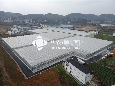 贵阳楠木渡育苗中心