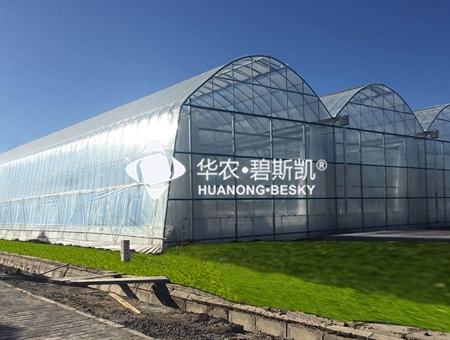 北京项目