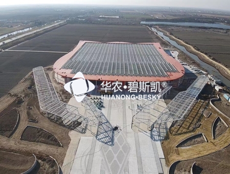 裕丰郁金香产学研基地