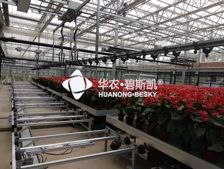 河南盆栽花卉温室项目