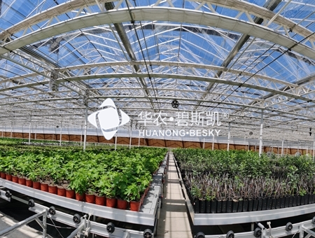 沂南果树智能育苗工厂