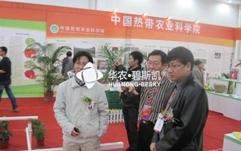第三届江门市农业博览会隆重召开
