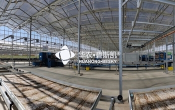 设施园艺工厂如何面对多样性